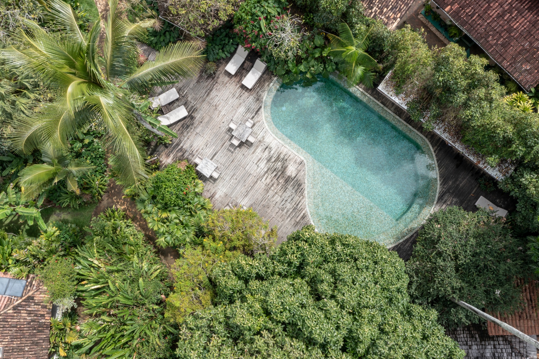 Vista aérea da piscina integrada ao jardim tropical