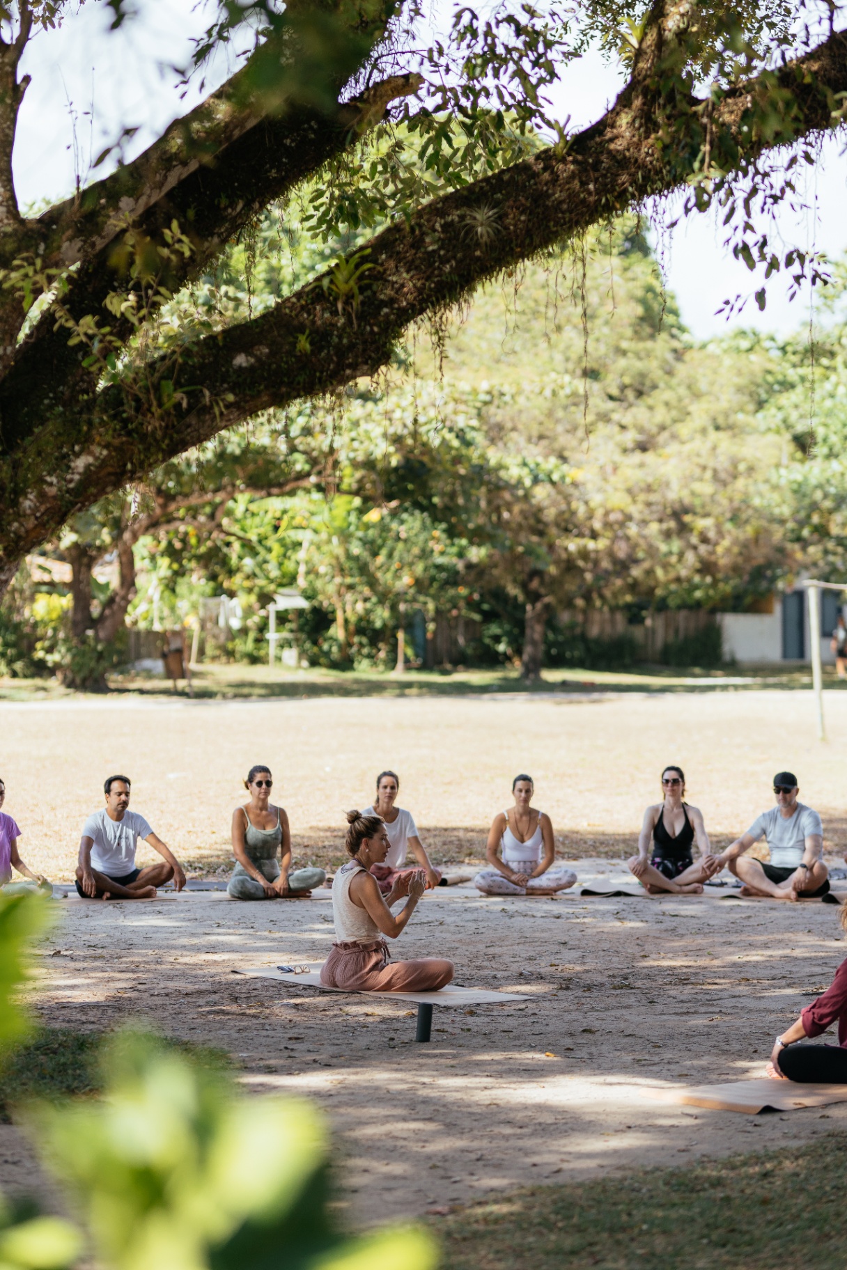 Meditação sob a árvore — prática de presença no Retiro Bálsamo