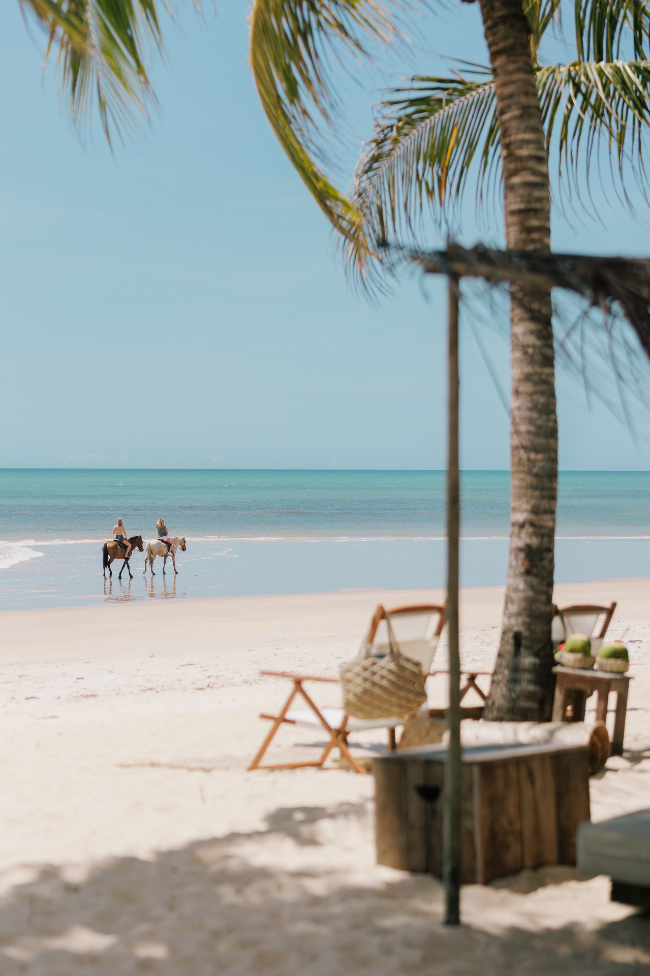 Cavalos na praia de Trancoso, Bahia
