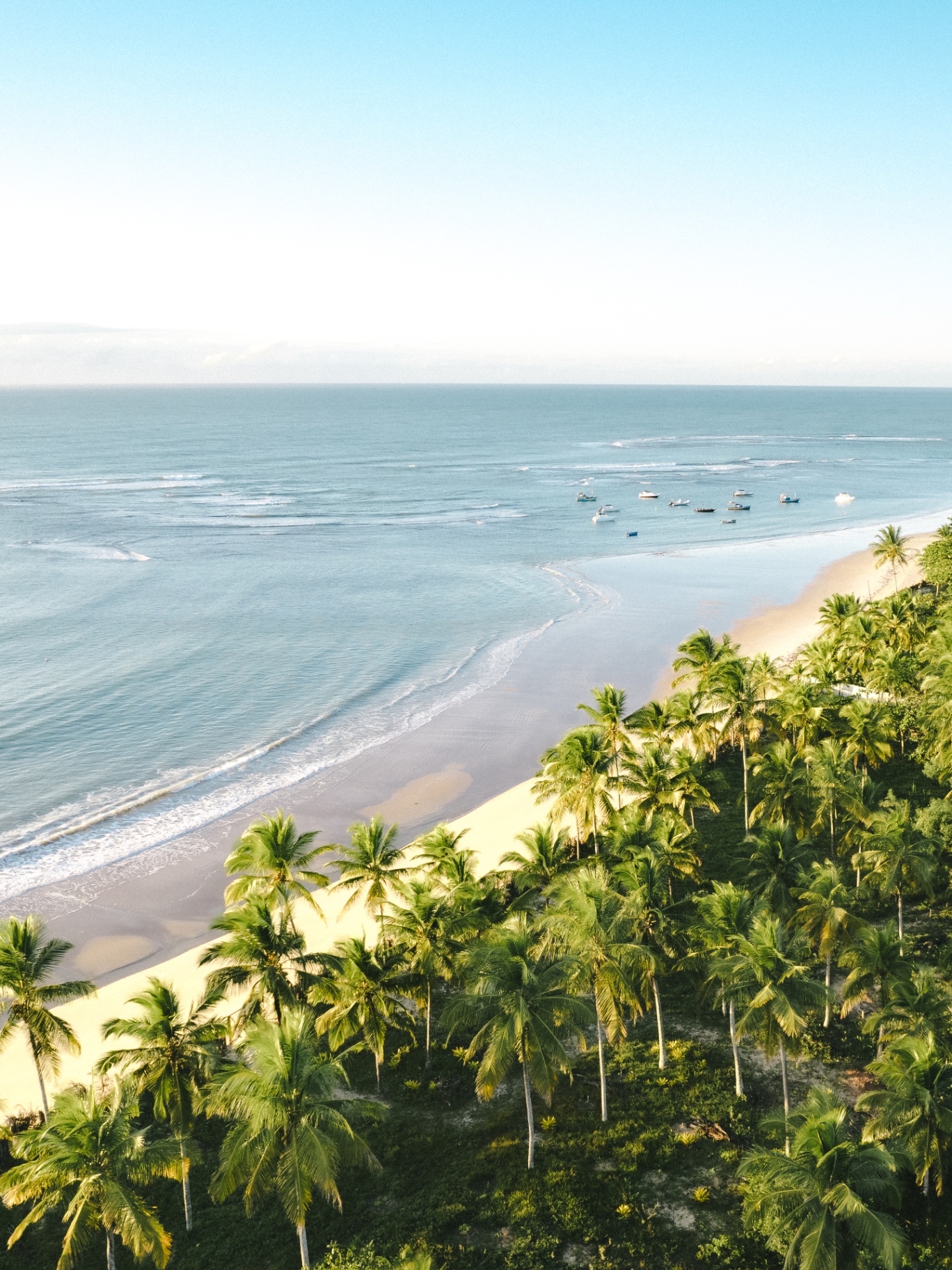Vista aérea de praia com coqueiral em Trancoso