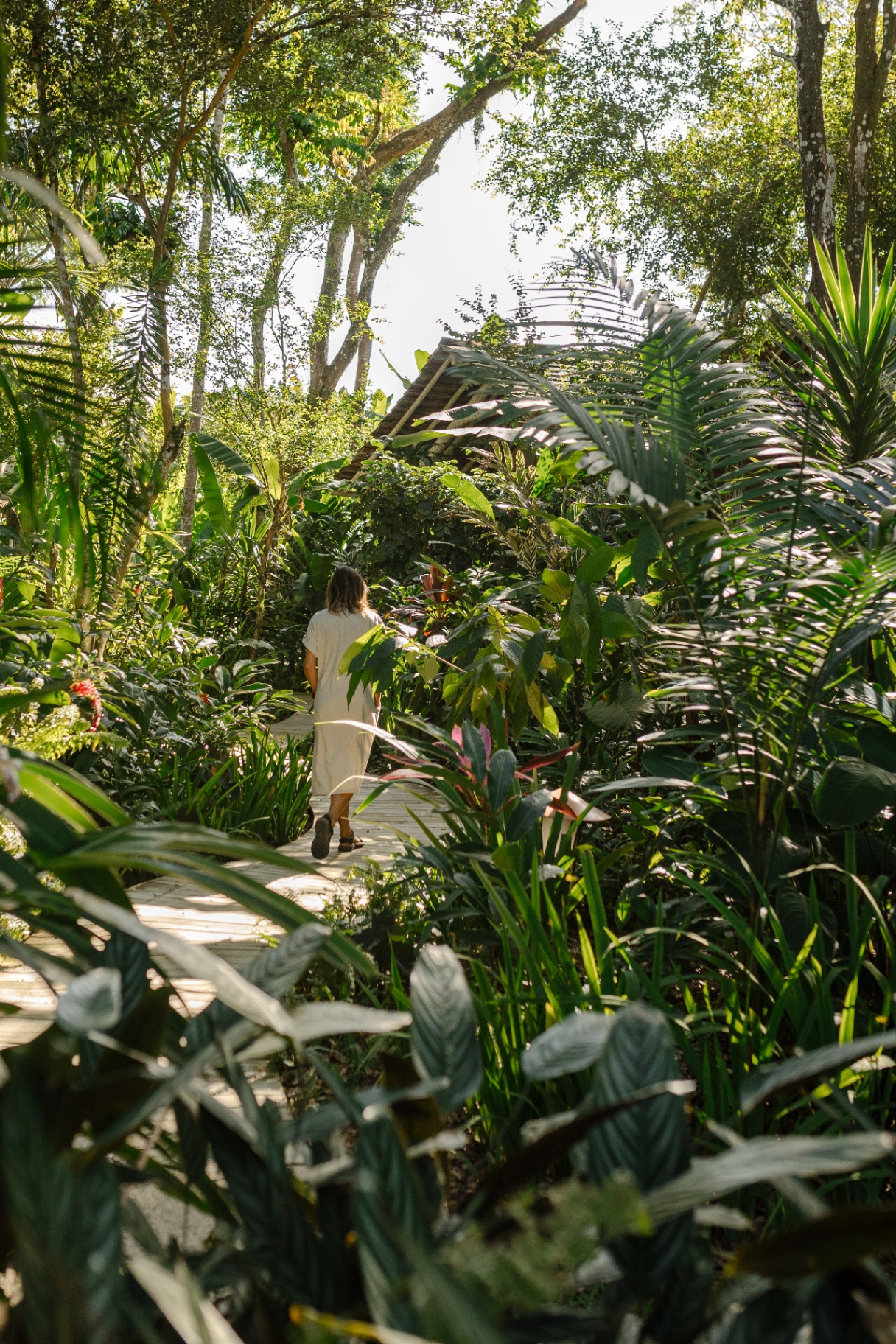 Trilha entre o jardim e a vegetação tropical