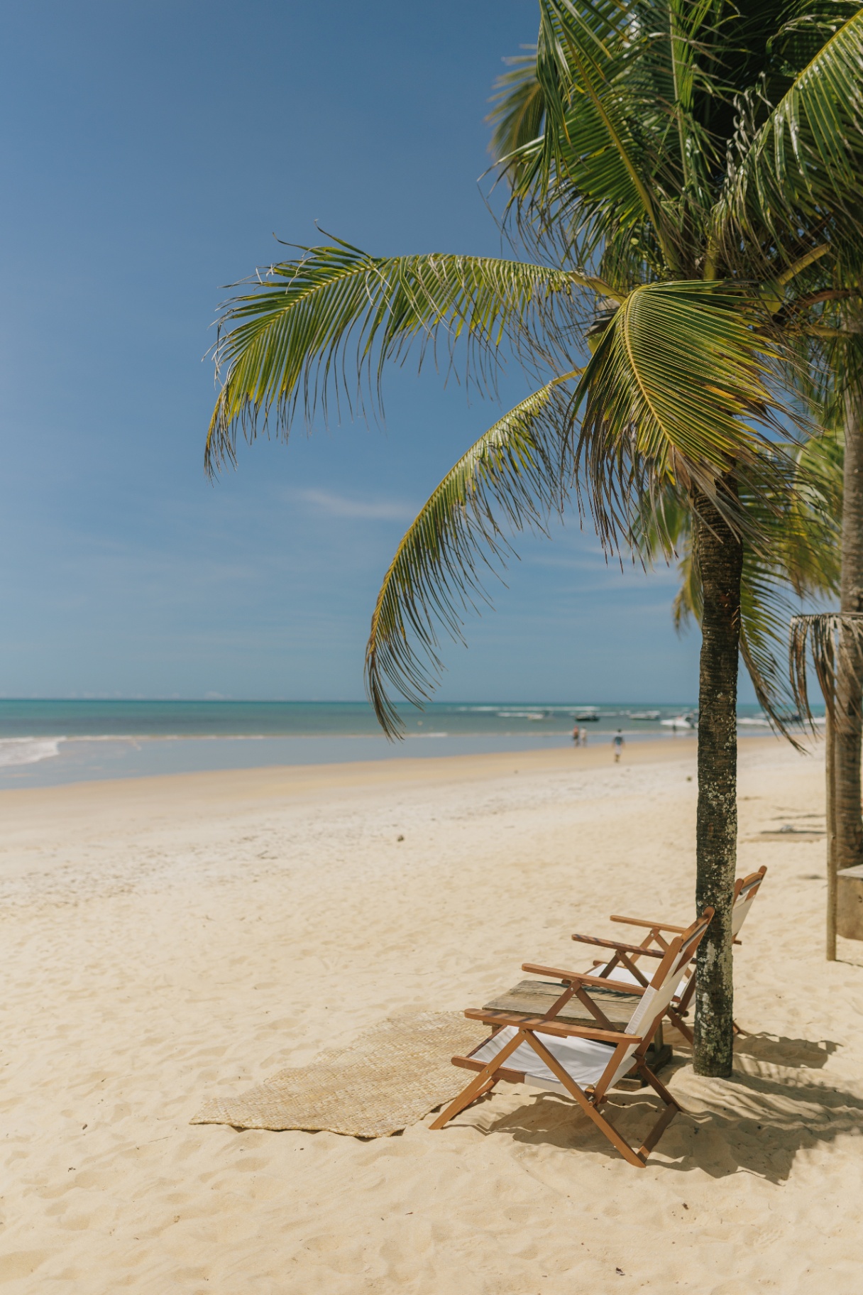Praia de Trancoso com cadeiras sob coqueiros